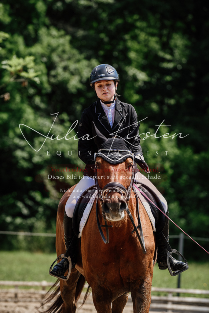 DSC_1429 | Pferde- und Turnierfotografie in Westsachsen. Pferdeportraits, Auftragszeichnungen und intuitive Kunst.