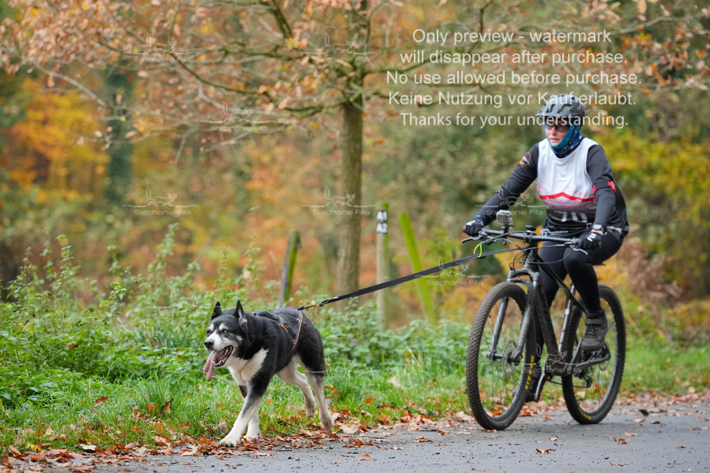 Bike_So-187 | stephaniefillaphotographie - Realisiert mit Pictrs.com