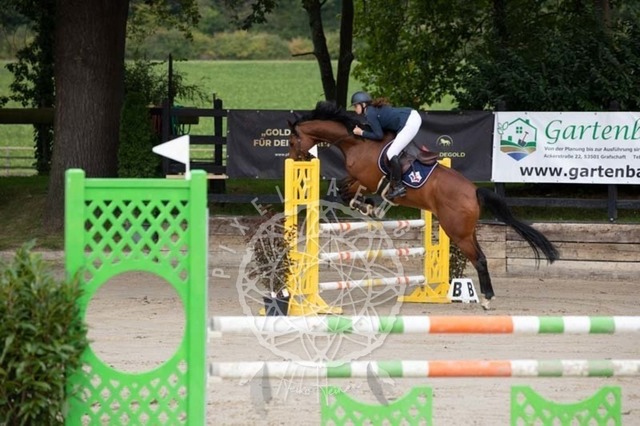 2B4A1476 | pixelfaenger - Realisiert mit Pictrs.com