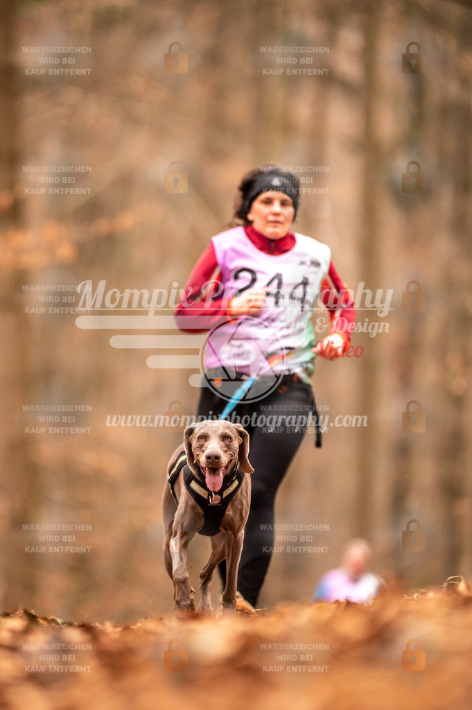 AKM_ST_2023_Son_Run-122 | mompixphotography