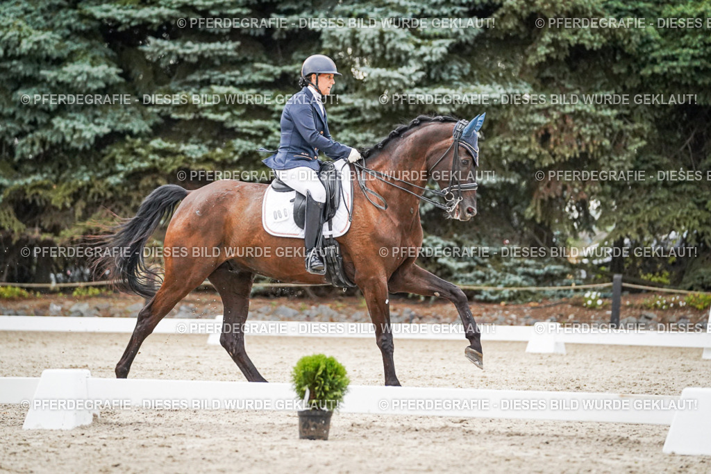 DSC09567 | Pferdegrafie