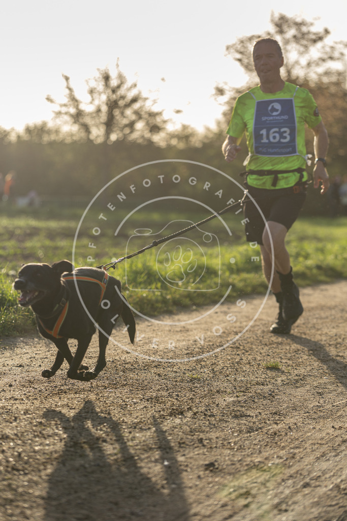 Pfotenfotografie.de_DV3A2679 | Hundefotografie, Tierfotograf, Pfotenfotografie, Fotoshooting Hund, Hunde Portrait, Hundesport, Hundeportraits, Heideshooting, Hunde, Sportfotograf, Hundefotograf, Turnierhundsport, THS, canicross - Realisiert mit Pictrs.com