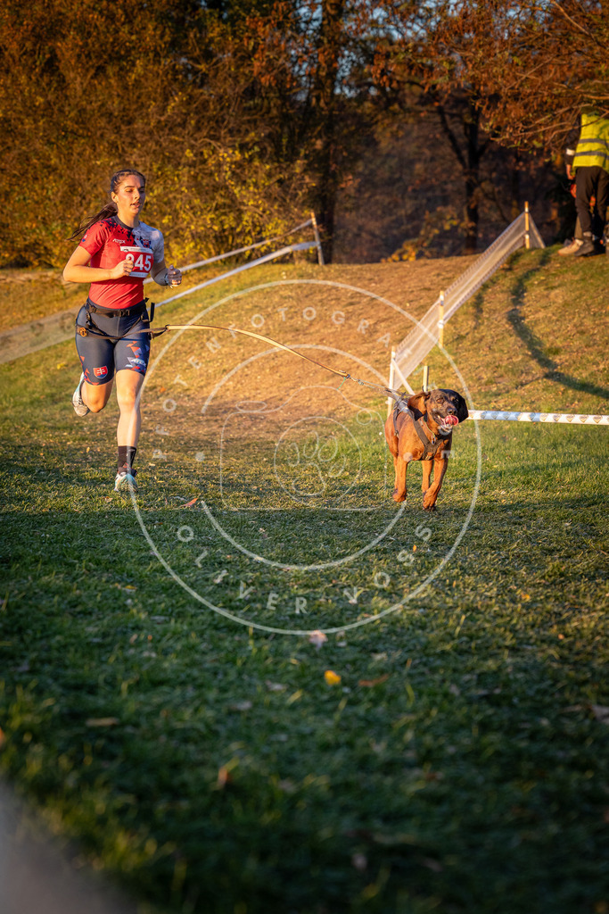 CaniXpix_0L8A1951 | Hundefotografie, Tierfotograf, Pfotenfotografie, Fotoshooting Hund, Hunde Portrait, Hundesport, Hundeportraits, Heideshooting, Hunde, Sportfotograf, Hundefotograf, Turnierhundsport, THS,  - Realisiert mit Pictrs.com