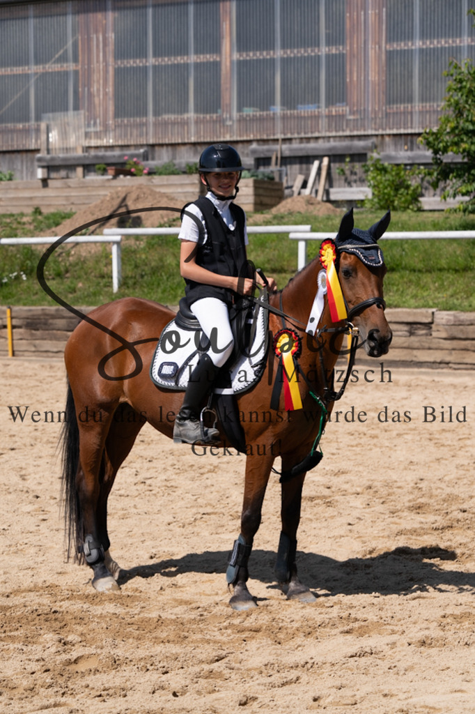 A7V08623 | Pferdefotograf