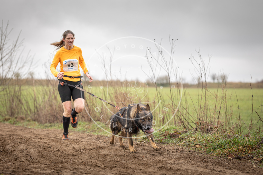 DV3A0048 | Hundefotografie, Tierfotograf, Pfotenfotografie, Fotoshooting Hund, Hunde Portrait, Hundesport, Hundeportraits, Heideshooting, Hunde, Sportfotograf, Hundefotograf, Turnierhundsport, THS,  - Realisiert mit Pictrs.com