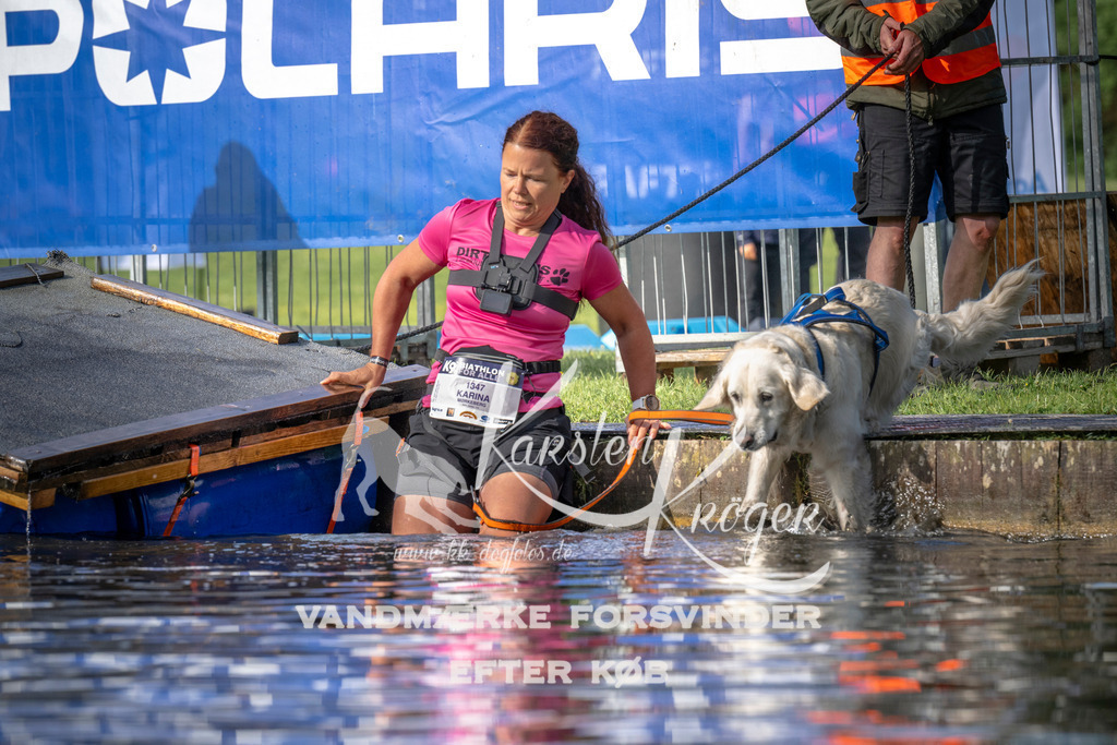 _ZZ941600712 | kk-dogfotos