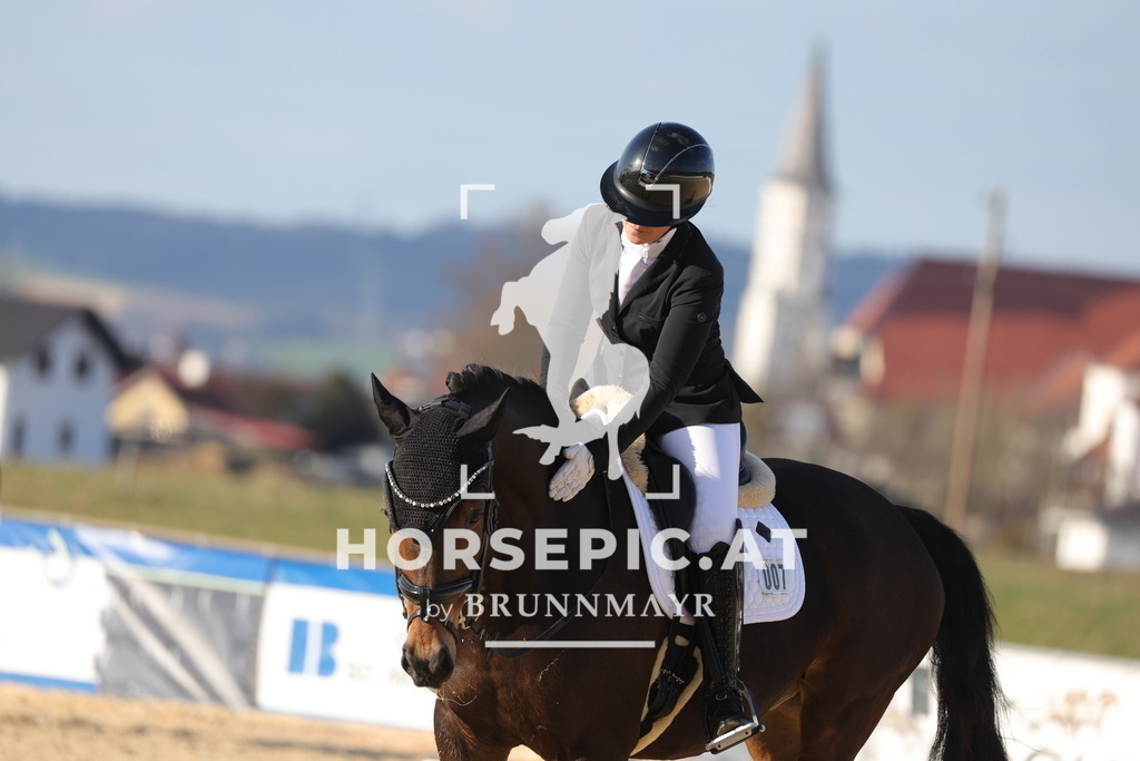 0P6A8050 | Willkommen bei Brunnmayr - Design & Fotografie – Ihrem Spezialisten für Reitturniere und Pferdeveranstaltungen in Oberösterreich, Salzburg und Bayern! Seit über 17 Jahren sind wir leidenschaftlich dabei.