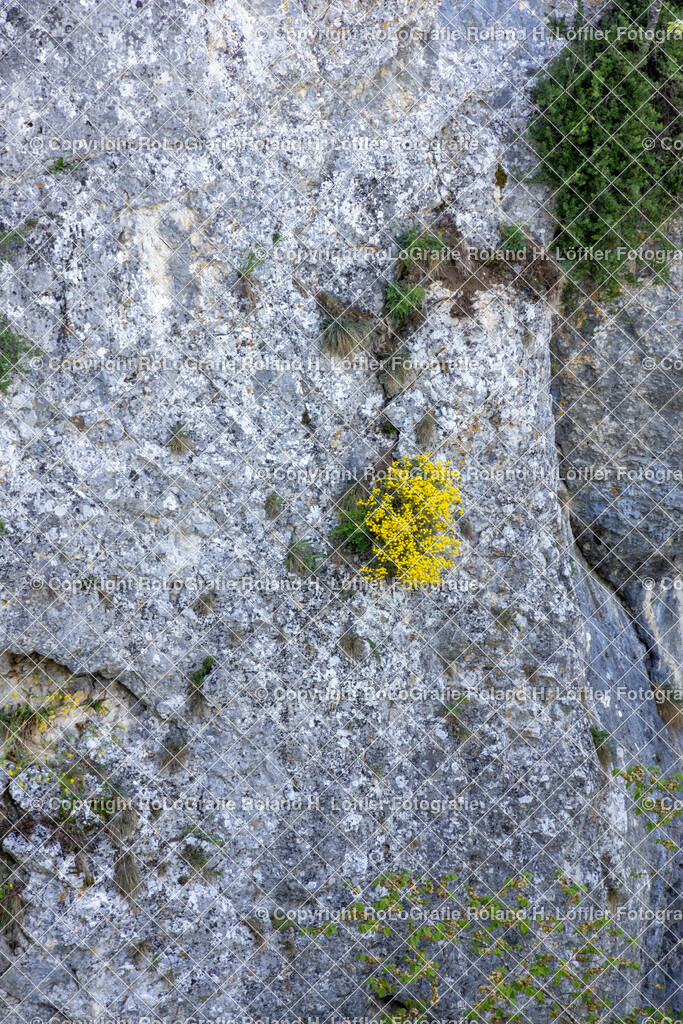 Im-Donautal-45 | IPTC Infos - Realisiert mit Pictrs.com