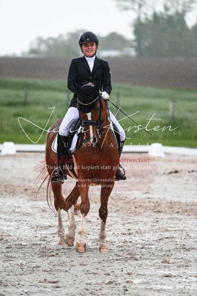 DSC_4613 | Pferde- und Turnierfotografie in Westsachsen. Pferdeportraits, Auftragszeichnungen und intuitive Kunst.