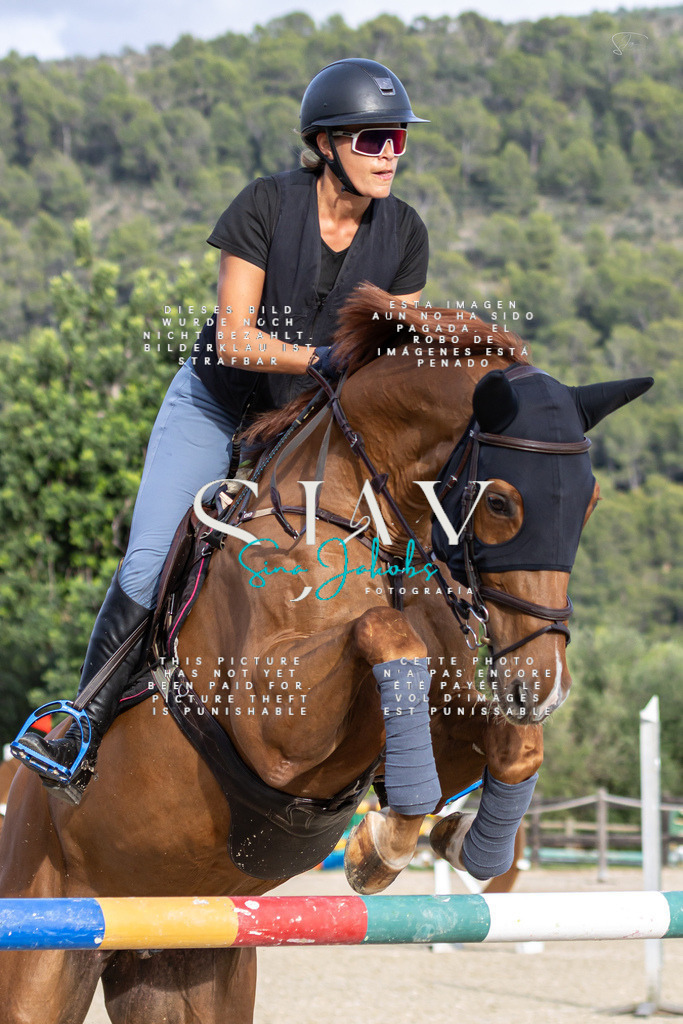 IMG_4499 | s-jay-photography - Realisiert mit Pictrs.com