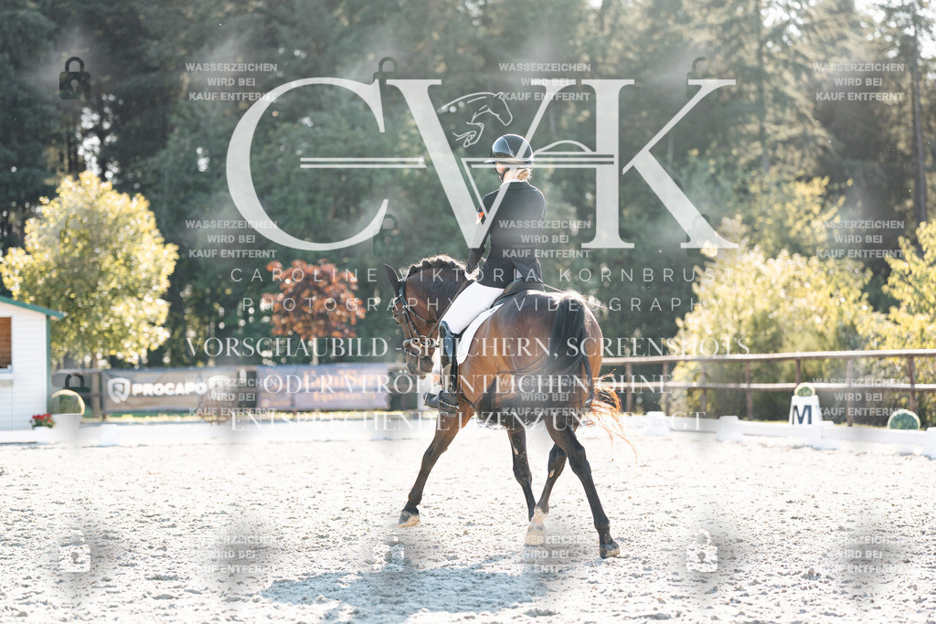 CK907057 | Turnierfotografie Pferdefotografie Trier Rheinland-Pfalz Pferdesport Reitsport Tierfotografie Sportfotografie Pferdevideo Pferdevideografie Equestrianvideography equestrianphotography  - Realisiert mit Pictrs.com