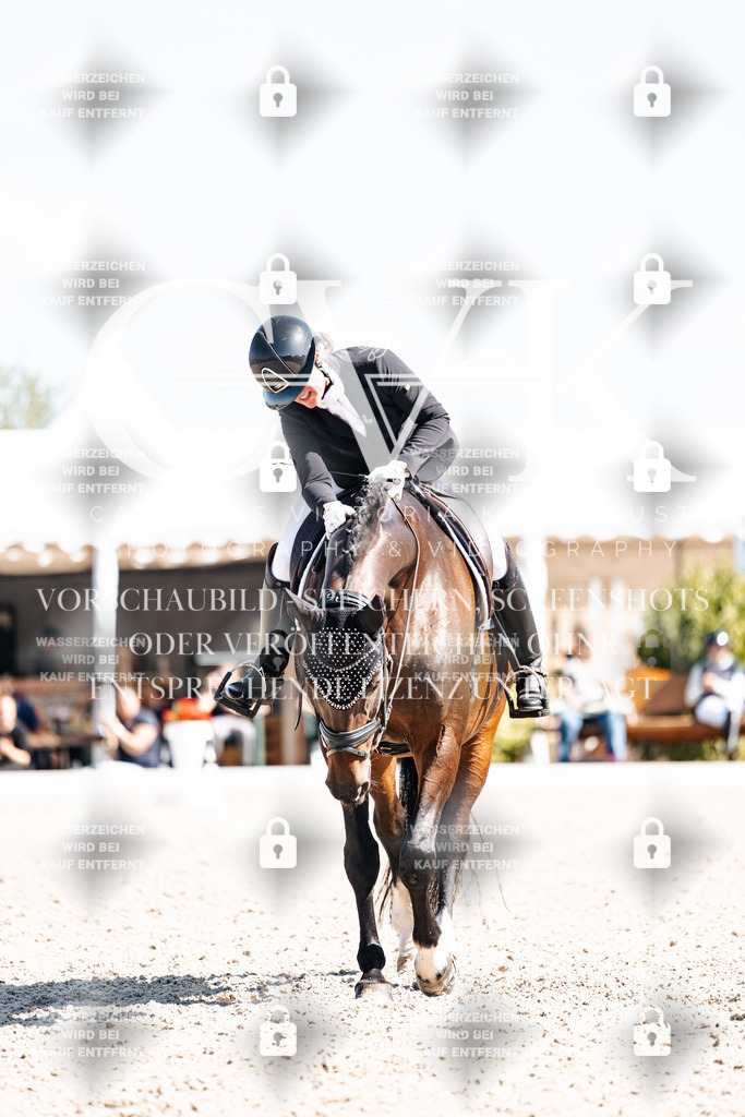 CK903492 | Turnierfotografie Pferdefotografie Trier Rheinland-Pfalz Pferdesport Reitsport Tierfotografie Sportfotografie Pferdevideo Pferdevideografie Equestrianvideography equestrianphotography  - Realisiert mit Pictrs.com