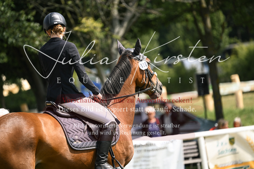 DSC_9171 | Pferde- und Turnierfotografie in Westsachsen. Pferdeportraits, Auftragszeichnungen und intuitive Kunst.