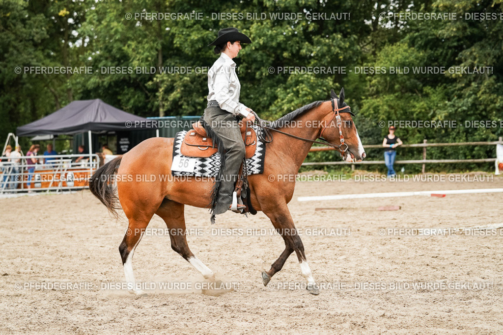 DSC08532 | Pferdegrafie