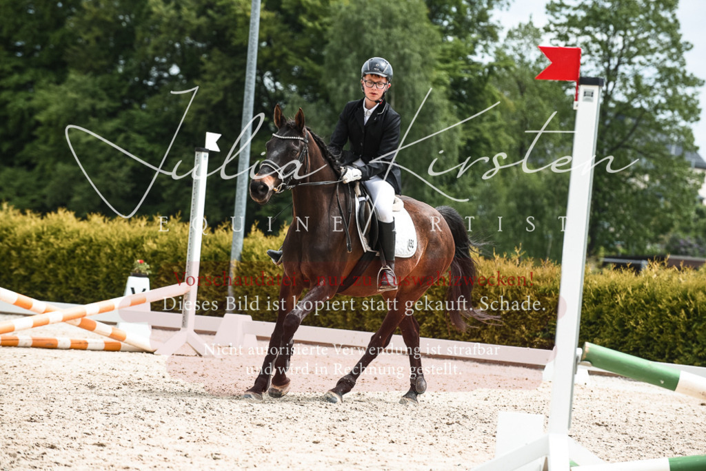 20230518_JK-Röhrsdorf-10-614 | Pferde- und Turnierfotografie in Westsachsen. Pferdeportraits, Auftragszeichnungen und intuitive Kunst.