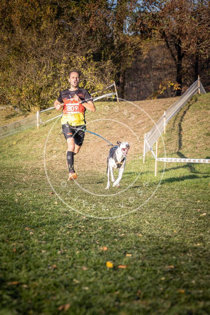 CaniXpix_0L8A0375 | Hundefotografie, Tierfotograf, Pfotenfotografie, Fotoshooting Hund, Hunde Portrait, Hundesport, Hundeportraits, Heideshooting, Hunde, Sportfotograf, Hundefotograf, Turnierhundsport, THS,  - Realisiert mit Pictrs.com