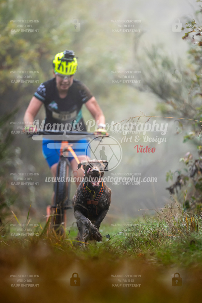 MompixPhotography_20TSB_E4_DS1-11 | PayLife