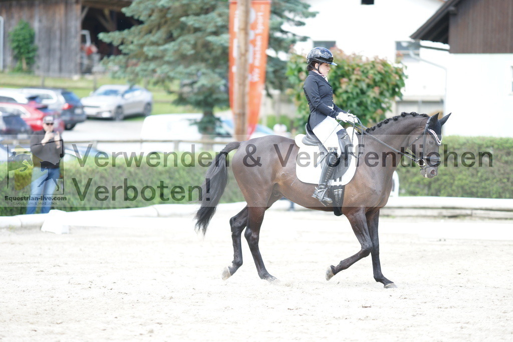 DSC05355 | equestrian-live-com