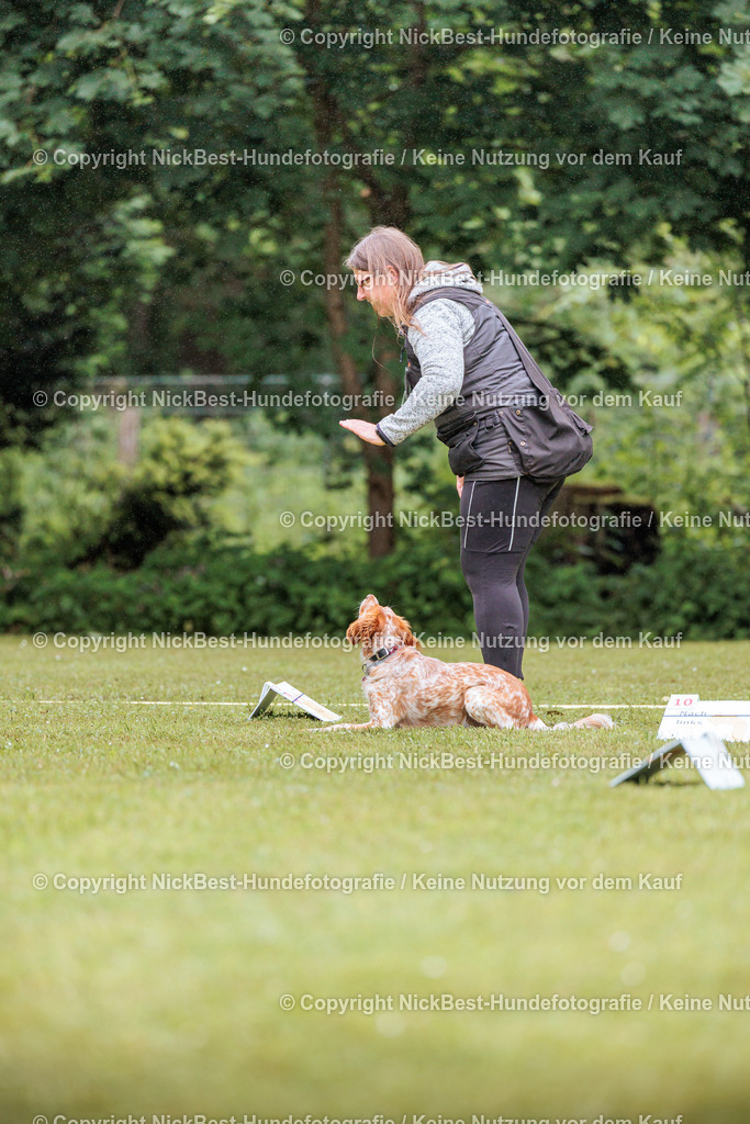 RO-Blumenthal-2026-Nickbest-Hundefotografie-3698 | Dein Hund! Dein Moment! Deine Erinnerungen! Hundefotografie in Bremen Blumenthal. Ich fange die besonderen Momente deines Vierbeiners ein – ob Indoor mit Blitzanlage oder in der freien Natur. Sicher dir dein Moment und dein Termin für eure Erinnerungen.
