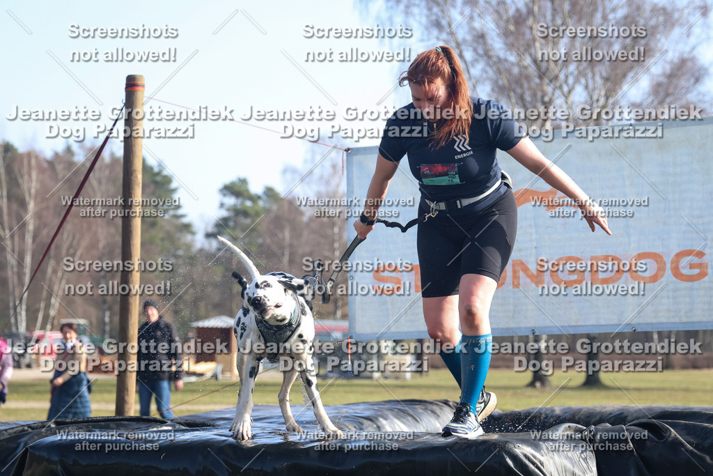 Dog Paparazzi - Strongdog North Mrz26-1128 | Dog Paparazzi Jeanette Grottendiek Fotografie & Videografie - Realisiert mit Pictrs.com