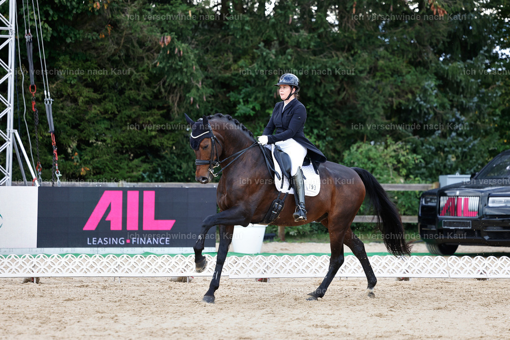 10-193-ST.GEORG SPECIAL -StoibPH-3253 | working equitationturnier fotograf videograf stoibphotography marixx film working equitation deutschland reitsport turnierfotografie eventfotografie equestrian events