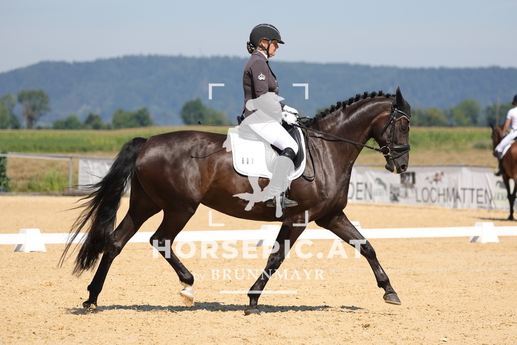 0P6A9873 | Willkommen bei Brunnmayr - Design & Fotografie – Ihrem Spezialisten für Reitturniere und Pferdeveranstaltungen in Oberösterreich, Salzburg und Bayern! Seit über 17 Jahren sind wir leidenschaftlich dabei.