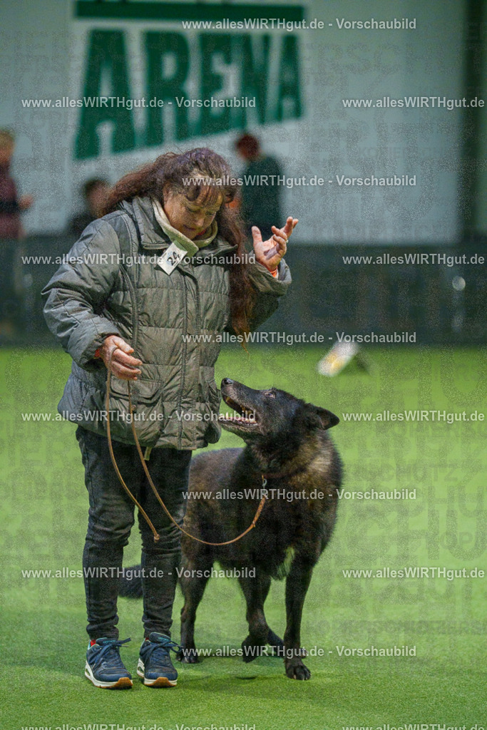 7R504993 | Professionelle Tierfotografie in Mönchengladbach von Daniel Wirth (allesWIRTHgut). Liebevolle & natürliche Bilder von Hunden & Katzen für unvergessliche Erinnerungen.