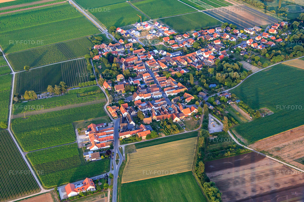 Luftbild: Dorfübersicht aus Nordwesten in Kleinfischlingen im Bundesland Rheinland-Pfalz in Deutschland. Foto: IMG_082788.jpg vom 25.06.2015 durch Werner Riehm/FLY-FOTO.de