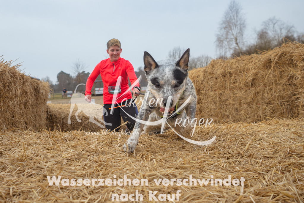 0952_ZZ90643 | kk-dogfotos