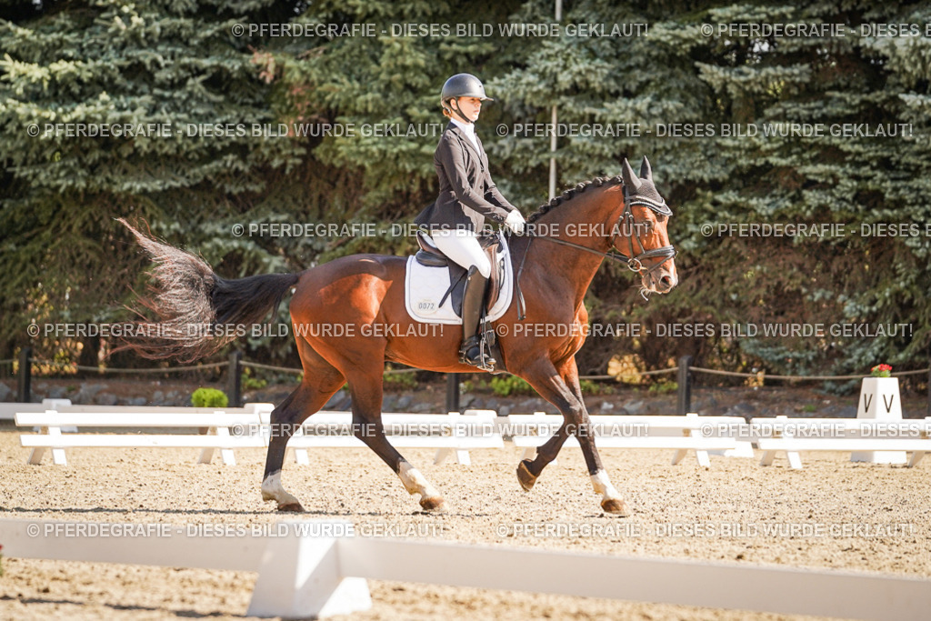 DSC00417 | Pferdegrafie