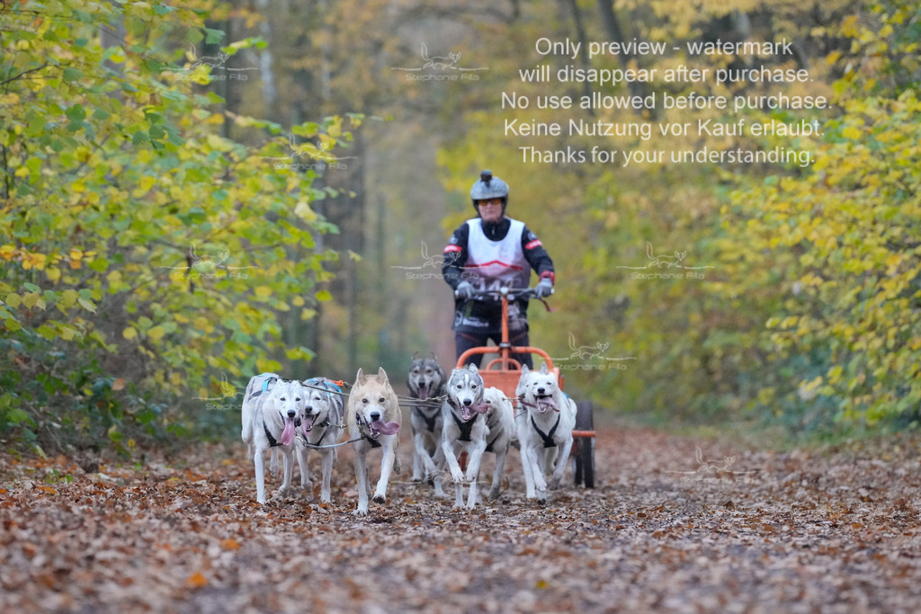 Rigs4bis8So-131 | stephaniefillaphotographie - Realisiert mit Pictrs.com