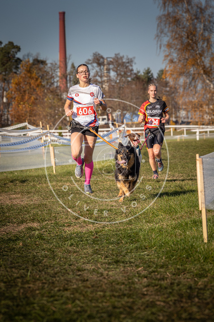 CaniXpix_0L8A8572 | Hundefotografie, Tierfotograf, Pfotenfotografie, Fotoshooting Hund, Hunde Portrait, Hundesport, Hundeportraits, Heideshooting, Hunde, Sportfotograf, Hundefotograf, Turnierhundsport, THS,  - Realisiert mit Pictrs.com