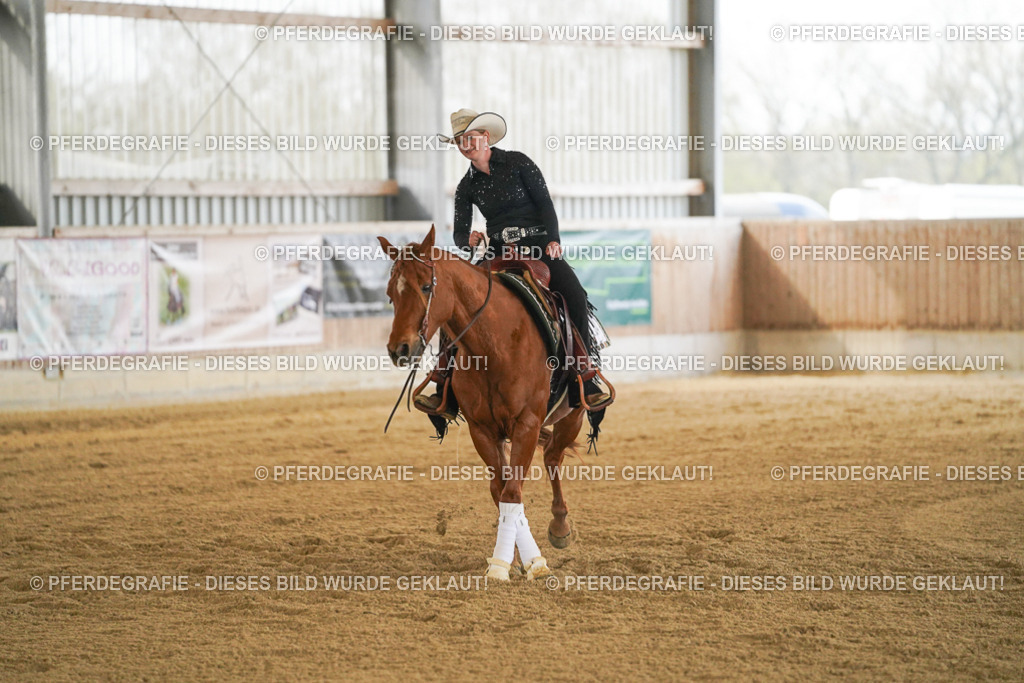 DSC08069 | Pferdegrafie