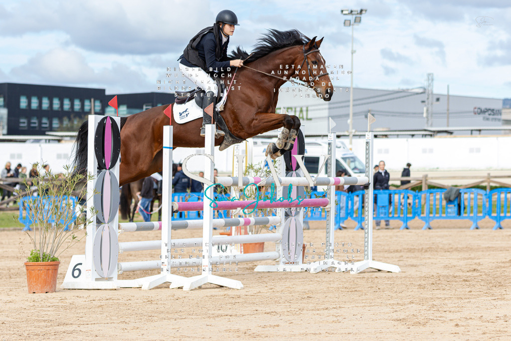 IMG_2746 | s-jay-photography - Realisiert mit Pictrs.com