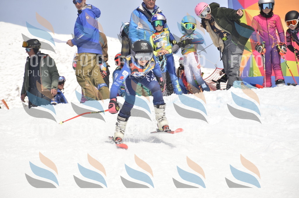 _ELE8810 | holidayphoto