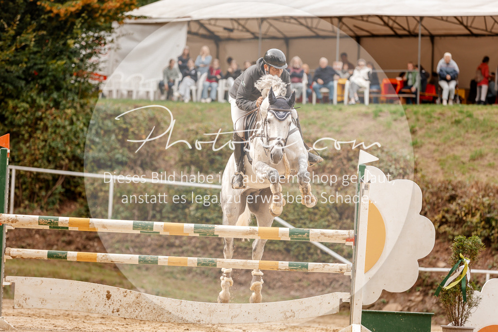 3I6A8223 | Stimmungsvolle Portraits und Reitsportfotografie im Ruhrgebiet und im Münsterland.

Pferdefotografie, Hundefotografie, Tierfotografie, Reportagen, Portraits von Tier und Mensch, Turnierfotografie in Bochum, Recklinghausen, Marl, Haltern am See, Dülmen.. - Realisiert mit Pictrs.com