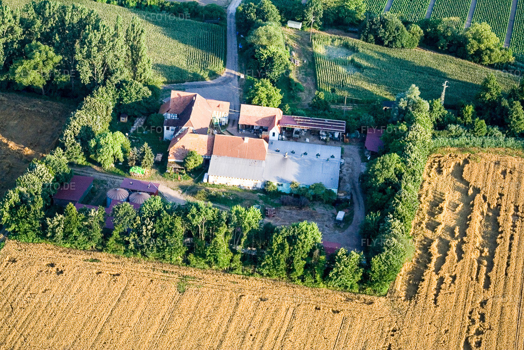 Luftbild: am Erlenbach, Leistenmühle in Kandel im Bundesland Rheinland-Pfalz in Deutschland. Foto: IMG_11794.jpg vom 25.07.2008 durch Werner Riehm/FLY-FOTO.de