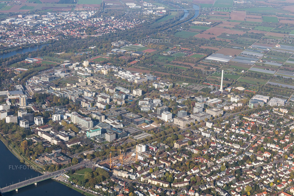 Luftbild: Universität im Ortsteil Neuenheim in Heidelberg im Bundesland Baden-Württemberg in Deutschland. Foto: IMG_104212.jpg vom 31.10.2017 durch Werner Riehm/FLY-FOTO.de