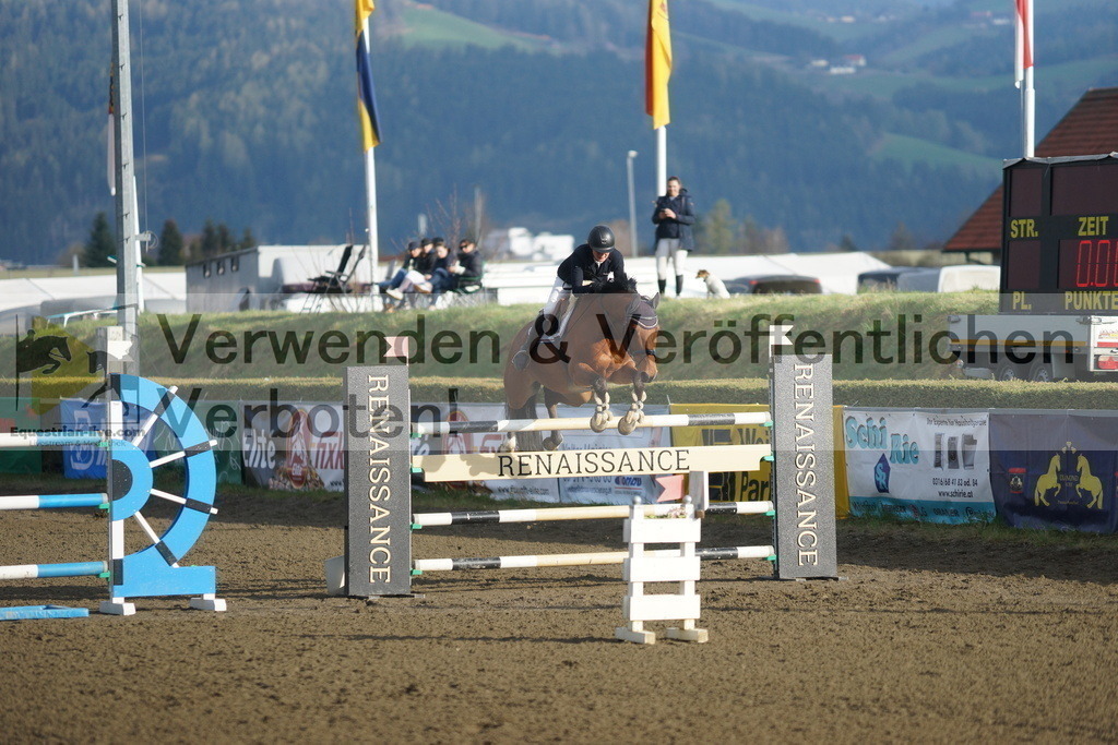 DSC01894 | equestrian-live-com