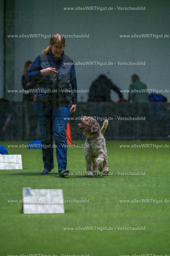7R507809 | Professionelle Tierfotografie in Mönchengladbach von Daniel Wirth (allesWIRTHgut). Liebevolle & natürliche Bilder von Hunden & Katzen für unvergessliche Erinnerungen.