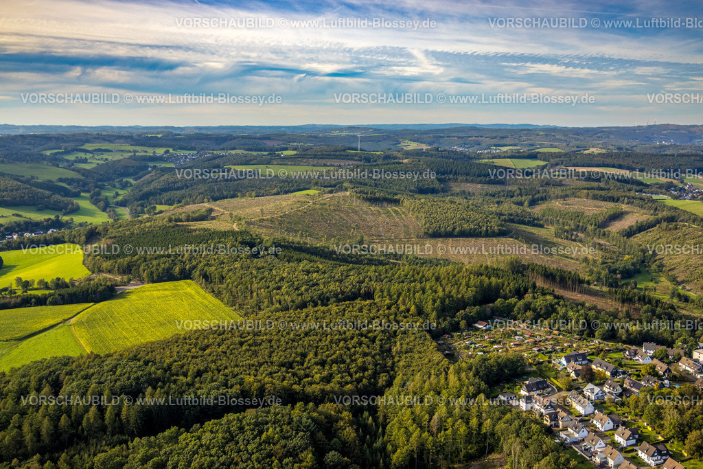 Siegen230912044 | Luftbild, Waldgebiet mit Walddschäden, Langenholdinghausen, Siegen, Siegerland, Nordrhein-Westfalen, Deutschland