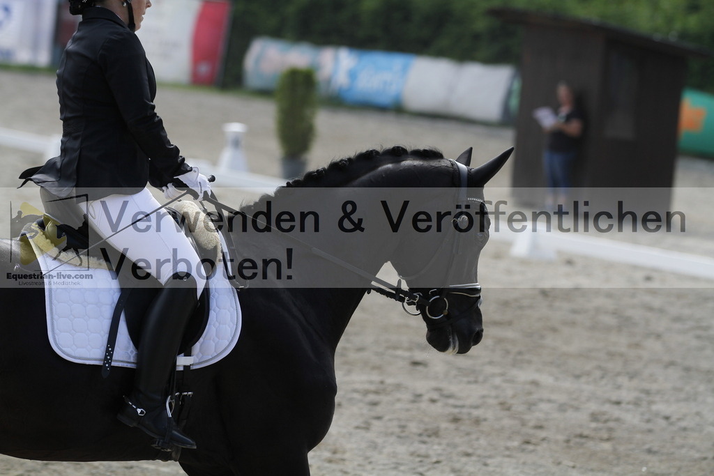 _MG_2251 | equestrian-live-com