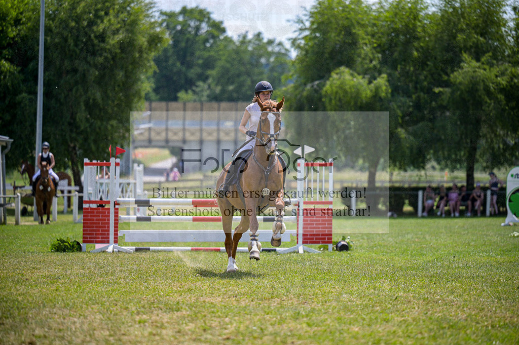 Reitturnier Voxtrup | Entdecke hochwertige Reitturnierfotos von Foto Oger. Professionell, emotional und authentisch – jetzt Lieblingsmomente im Shop bestellen.Deutschlandweite Turnierfotografie. - Realisiert mit Pictrs.com