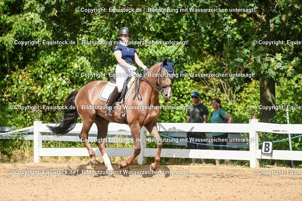 20230716_01_Dressurprüfung Kl.M_0373 | equistock