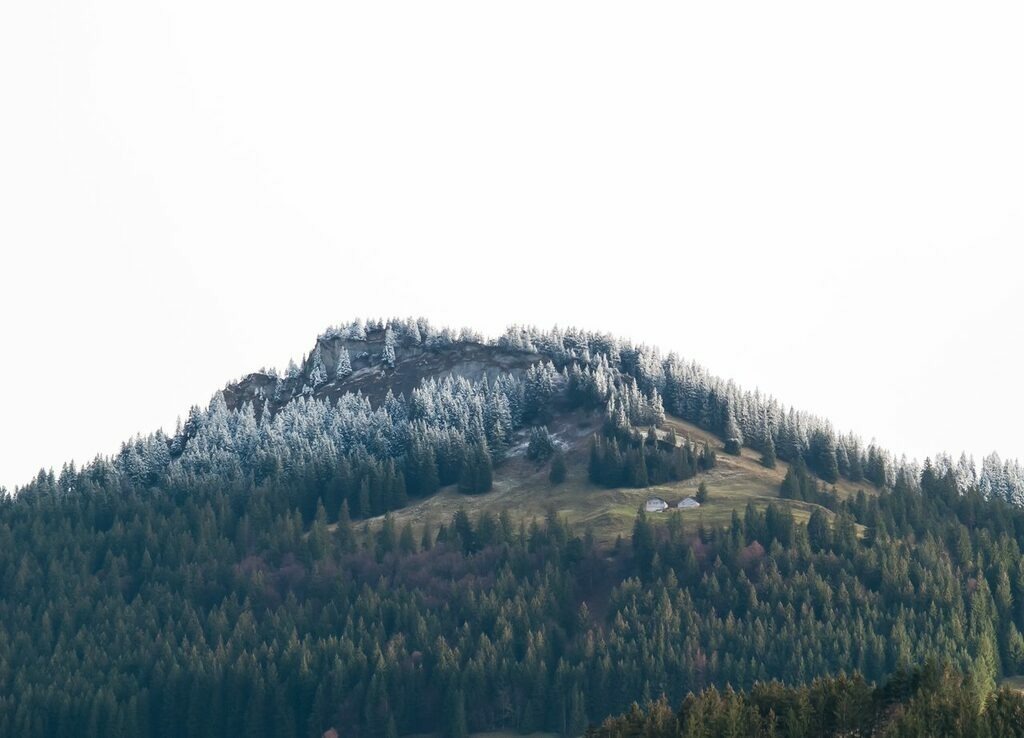 PSX_20221105_231419 | mtkfoto_ - Realisiert mit Pictrs.com