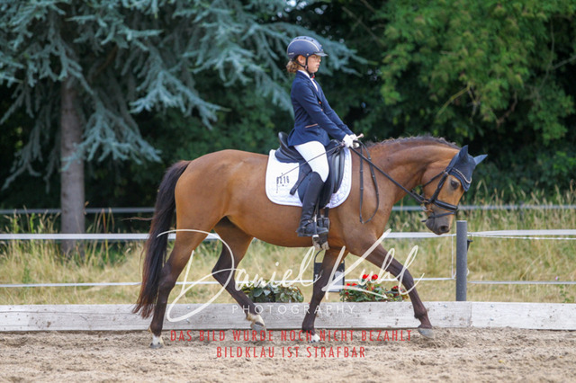 DKP46014 | Turniersportfotografie; Pferdefotografie; Dressurfotografie