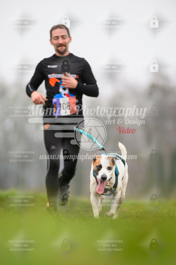 MompixPhotography_CDF2023_FFST_Di_Canicross-116 | PayLife
