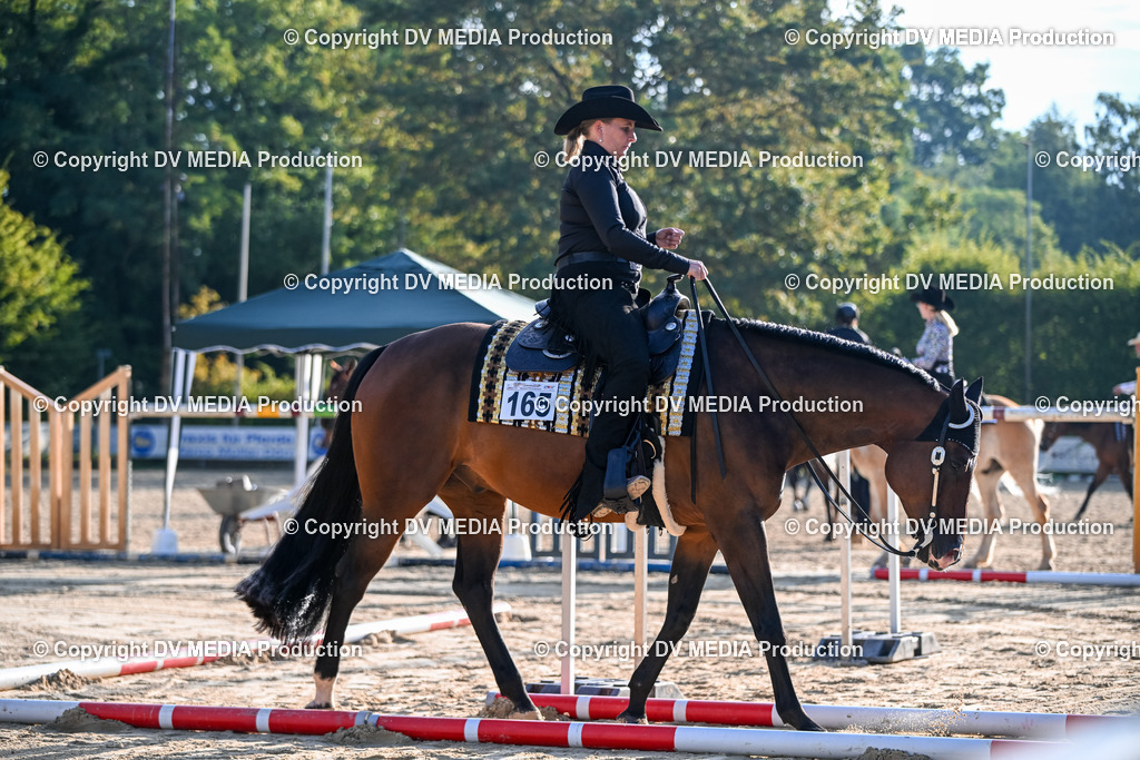 ZS1_3284 | dv-media-shop - Realisiert mit Pictrs.com