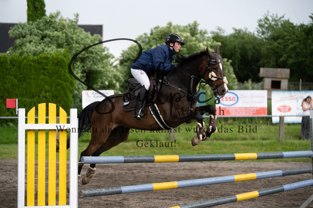 A7V04993 | Pferdefotograf