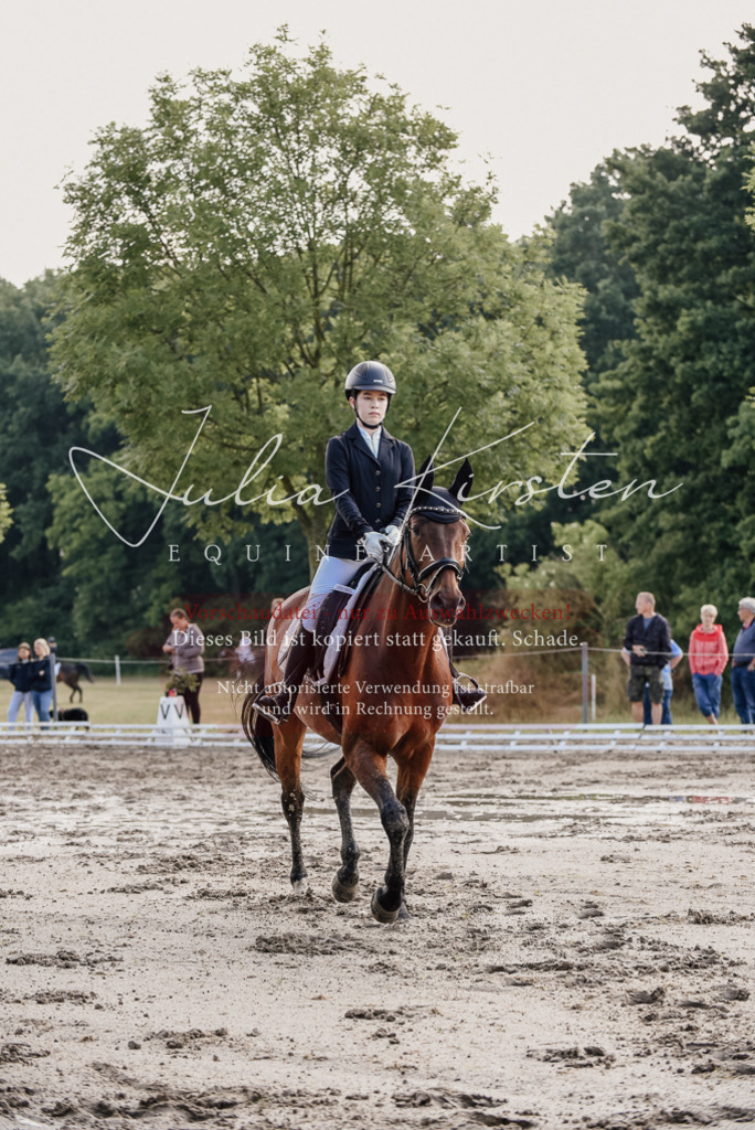 DSC_7969 | Pferde- und Turnierfotografie in Westsachsen. Pferdeportraits, Auftragszeichnungen und intuitive Kunst.
